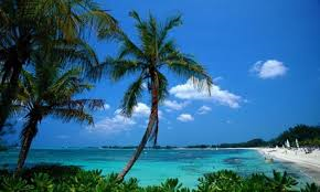 Tourism & Leisure